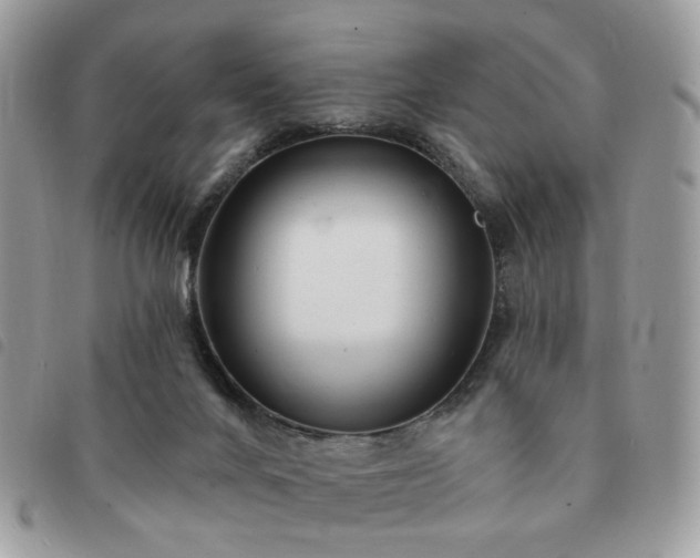 X0000091310024200708171426