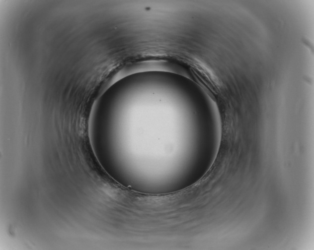 X0000091310025200708171426