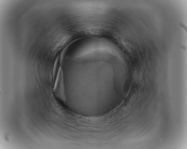 X0000091310027200708171426