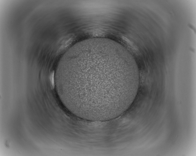 X0000091310028200708171426