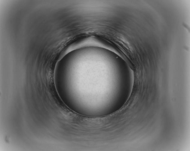 X0000091310029200708171426