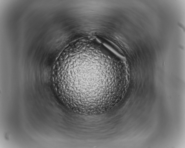 X0000091310030200708171426