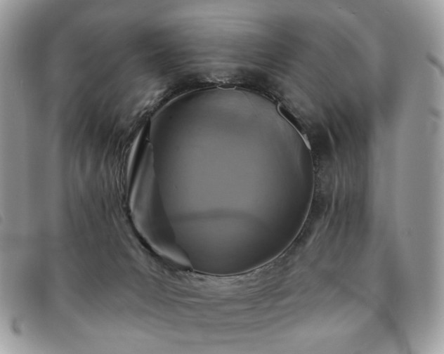 X0000091310031200708171426