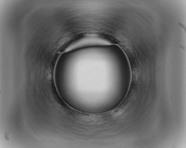 X0000091310032200708171426