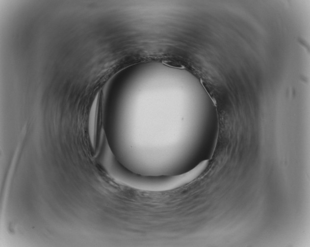 X0000091310033200708171426