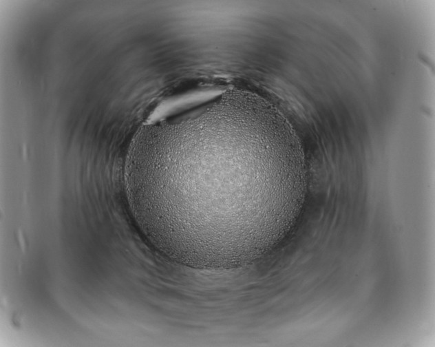 X0000091310034200708171426