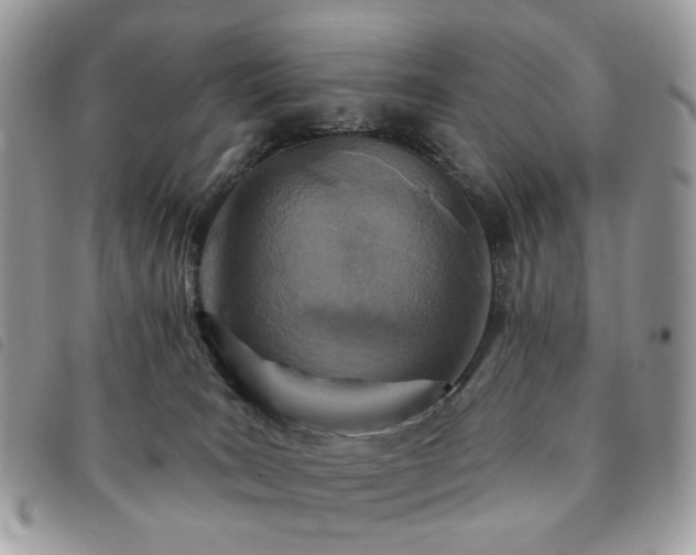 X0000091310035200708171426