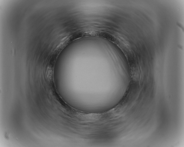 X0000091310036200708171426