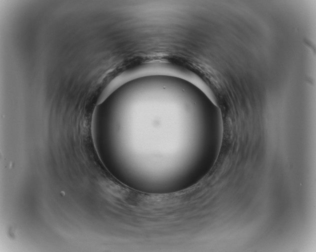 X0000091310037200708171426