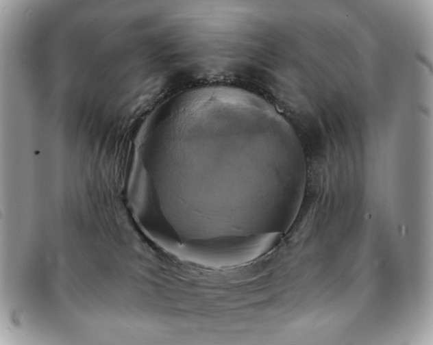 X0000091310039200708171426