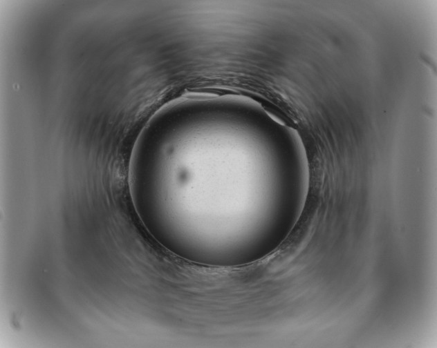 X0000091310040200708171426