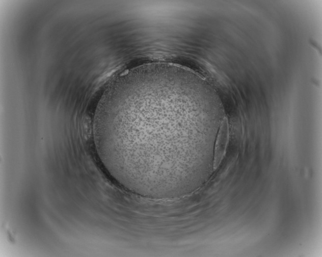 X0000091310043200708171426