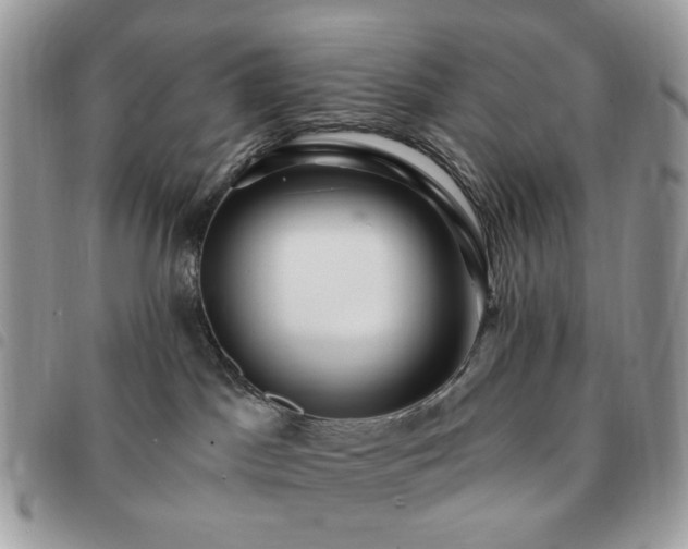 X0000091310045200708171426