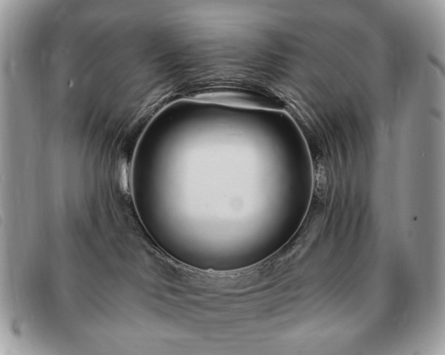 X0000091310046200708171426