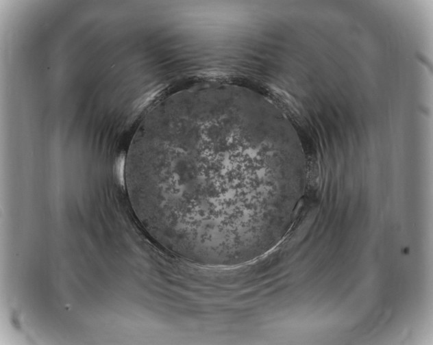 X0000091310047200708171426