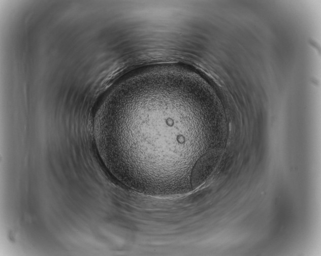 X0000091310048200708171426