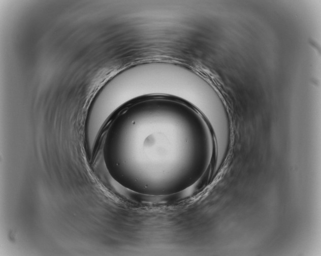 X0000091310049200708171425