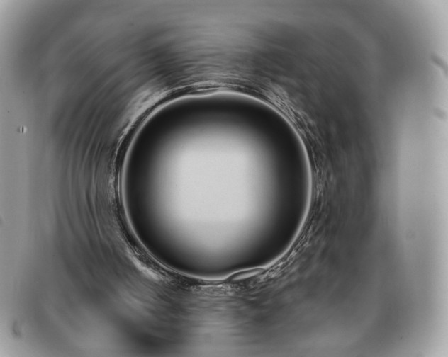 X0000091310050200708171425