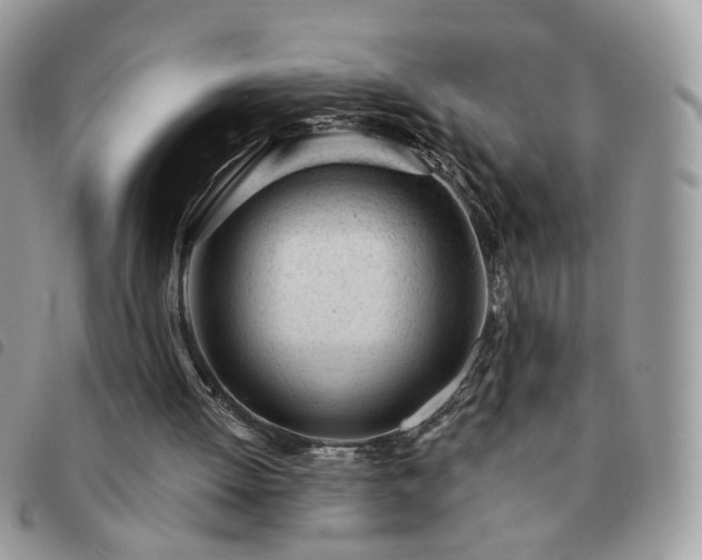 X0000091310052200708171425