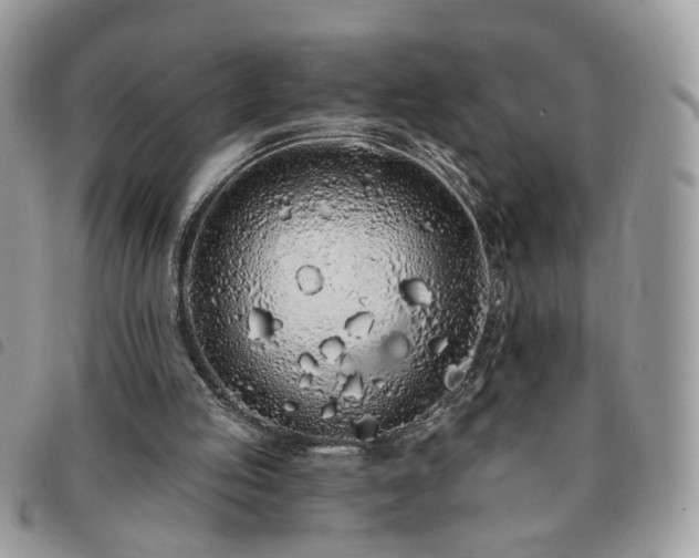 X0000091310053200708171425