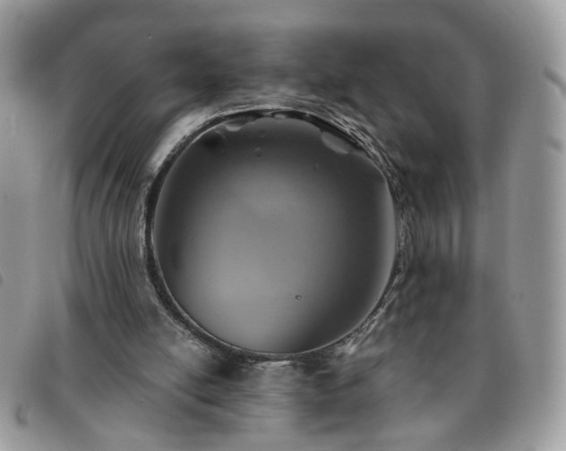 X0000091310054200708171425