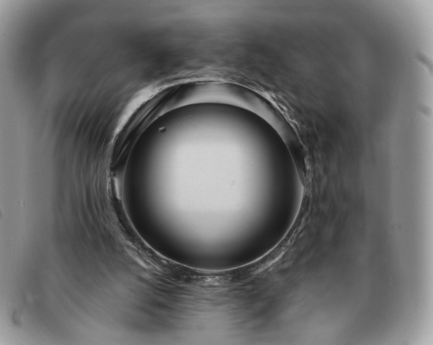 X0000091310056200708171425