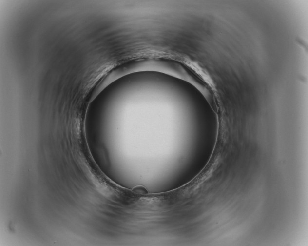 X0000091310057200708171425