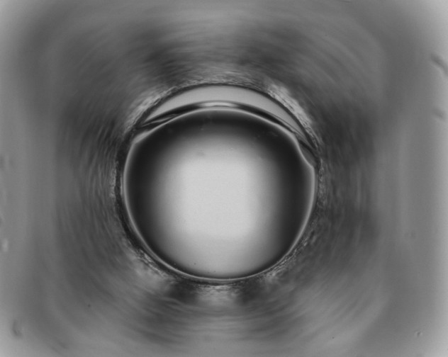 X0000091310058200708171425