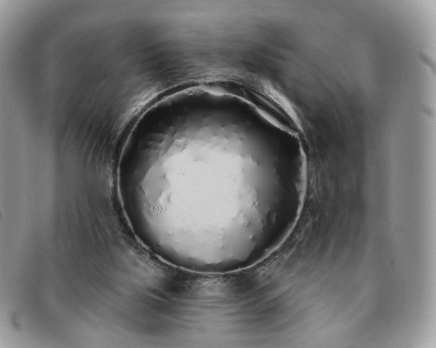 X0000091310059200708171425