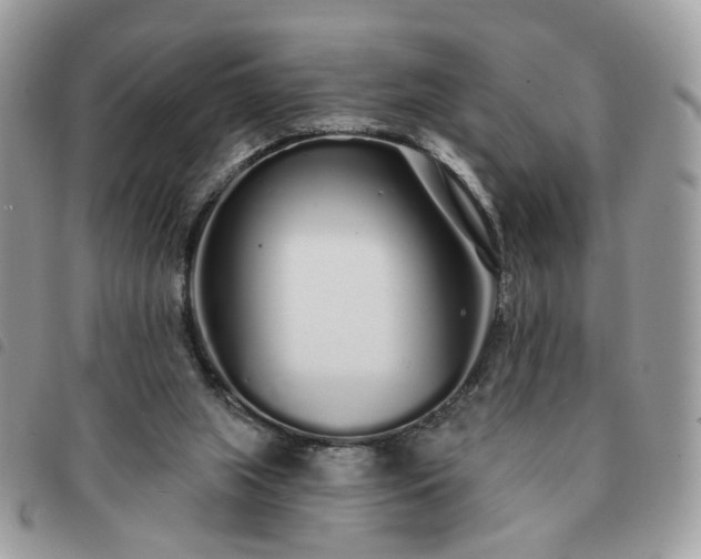 X0000091310063200708171425