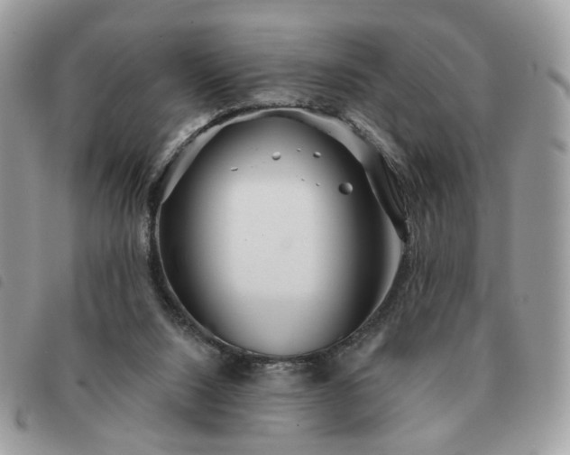 X0000091310064200708171425