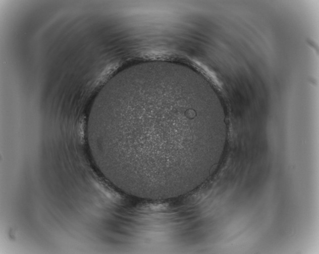 X0000091310065200708171425