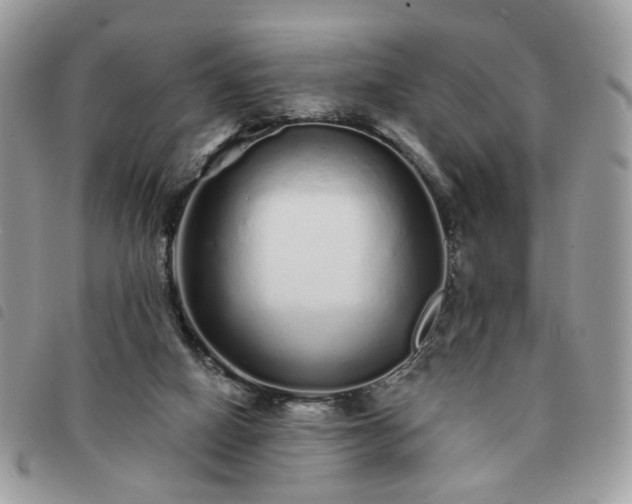 X0000091310066200708171425