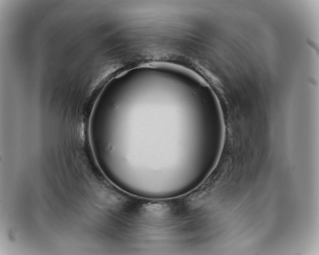 X0000091310067200708171425