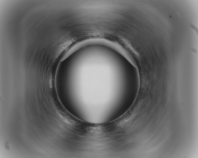 X0000091310068200708171425