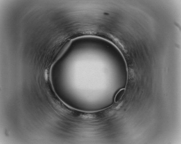 X0000091310069200708171425