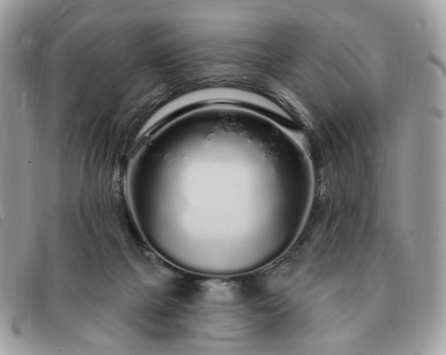 X0000091310073200708171426