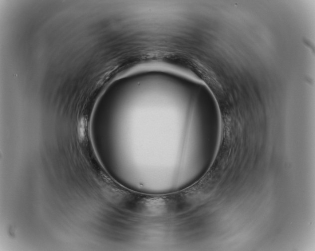 X0000091310075200708171426