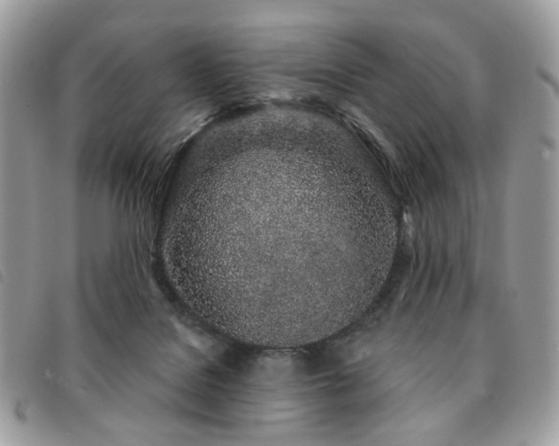 X0000091310076200708171426