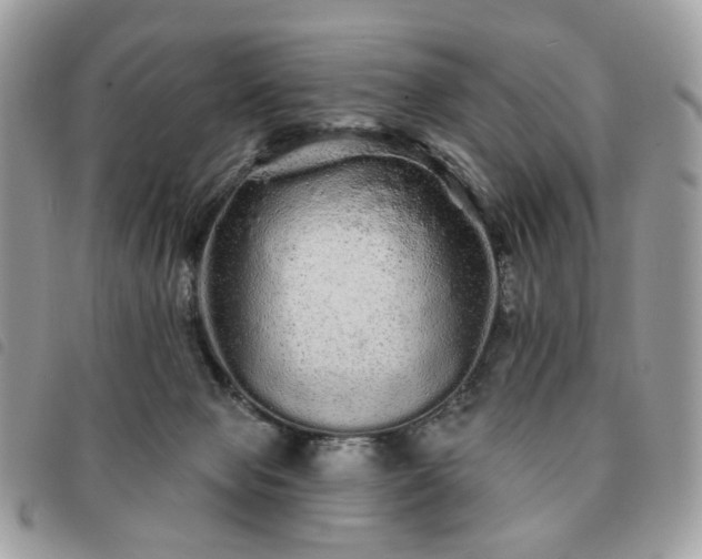 X0000091310077200708171426