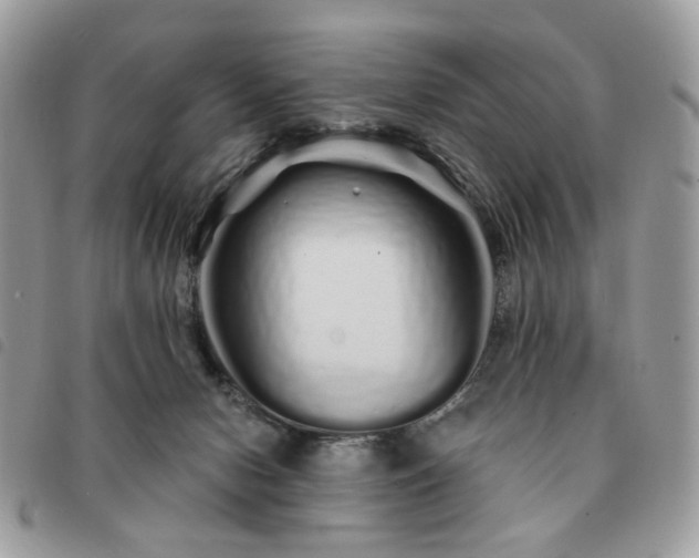 X0000091310078200708171426