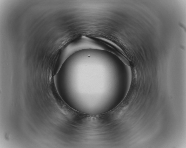 X0000091310080200708171426