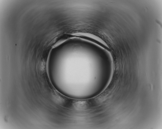 X0000091310081200708171426