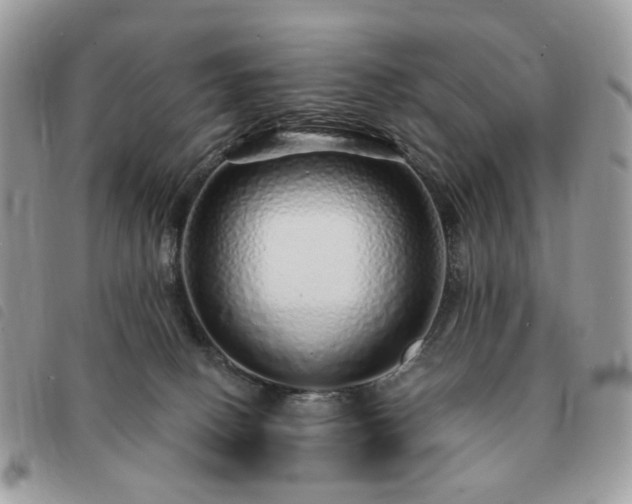 X0000091310082200708171426