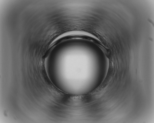 X0000091310084200708171426