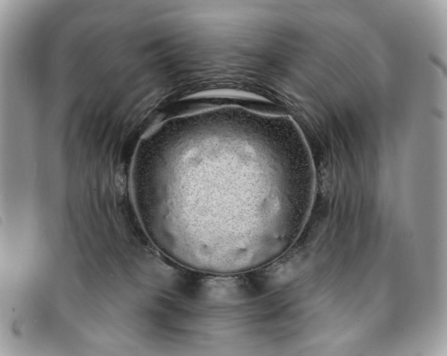 X0000091310085200708171426