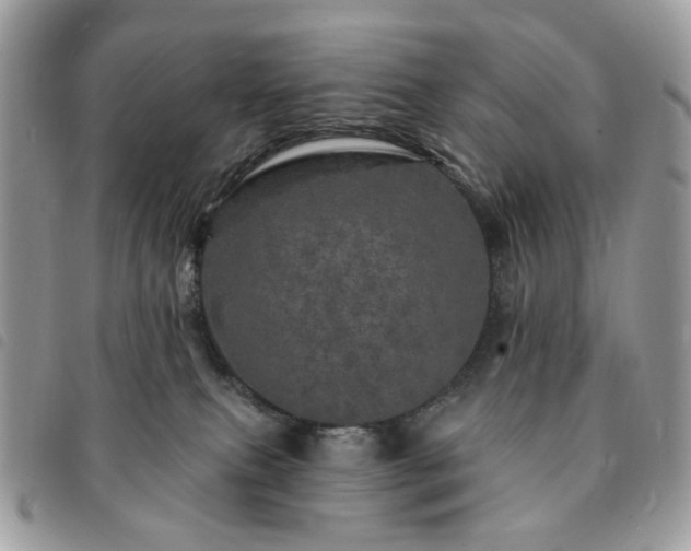 X0000091310087200708171426