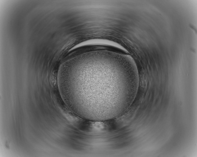 X0000091310091200708171426