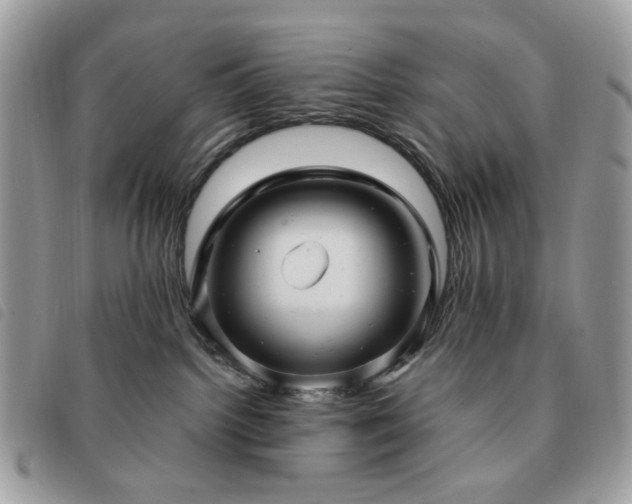 X0000091310092200708171426