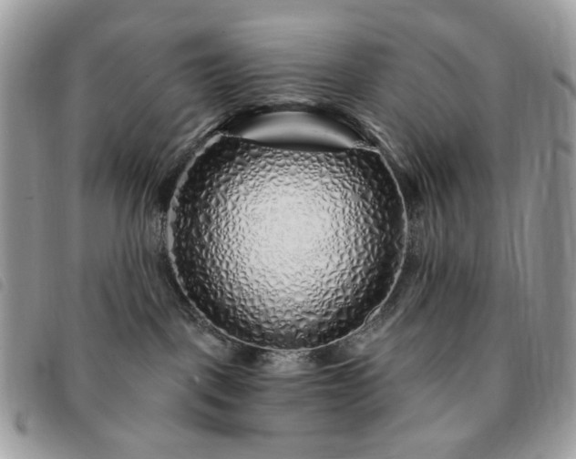 X0000091310093200708171426